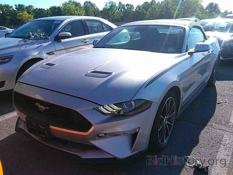 Photo 1FATP8UHXK5188805 - Ford Mustang 2019