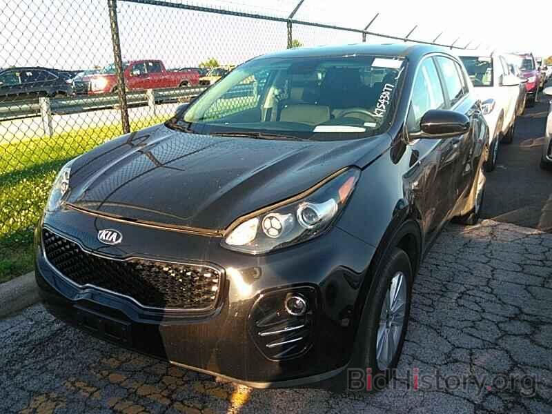 Фотография KNDPMCAC9K7543077 - Kia Sportage 2019