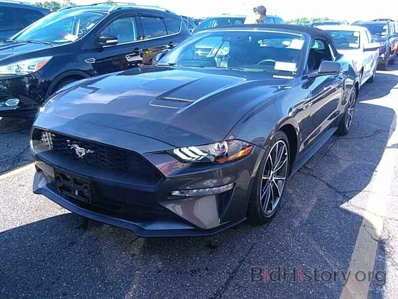 Photo 1FATP8UH3K5178942 - Ford Mustang 2019