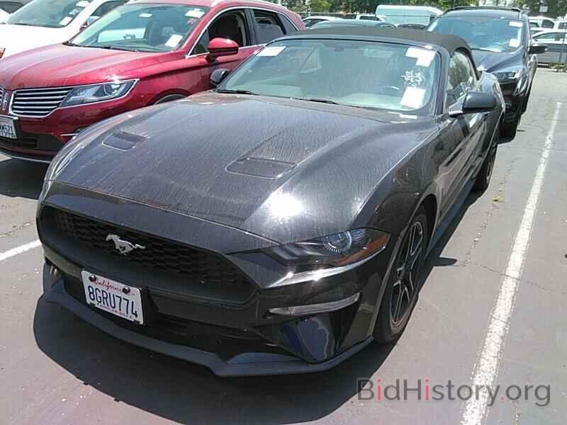 Photo 1FATP8UH5K5148549 - Ford Mustang 2019