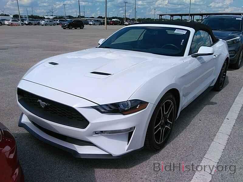 Photo 1FATP8UH7K5158550 - Ford Mustang 2019