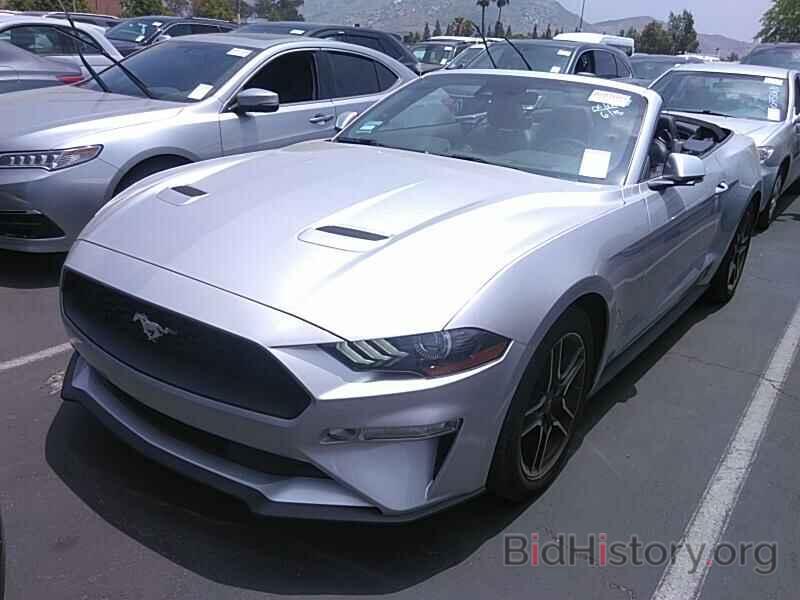 Photo 1FATP8UH0K5130816 - Ford Mustang 2019