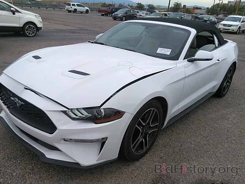 Photo 1FATP8UH2K5162540 - Ford Mustang 2019