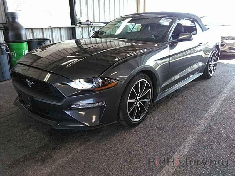 Photo 1FATP8UH9K5189959 - Ford Mustang 2019