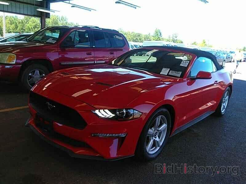Photo 1FATP8UH0K5159068 - Ford Mustang 2019