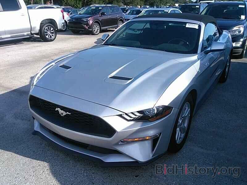 Photo 1FATP8UH3K5158934 - Ford Mustang 2019