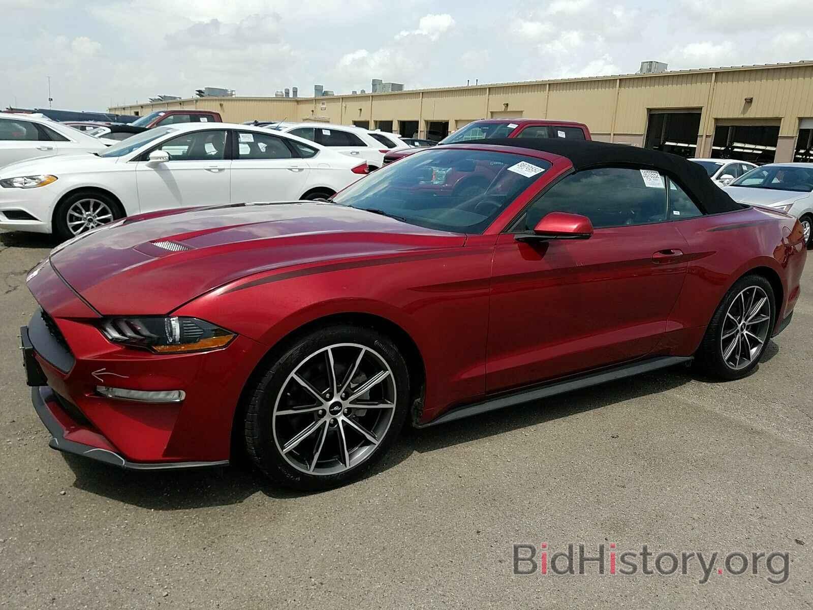 Photo 1FATP8UH4K5135954 - Ford Mustang 2019