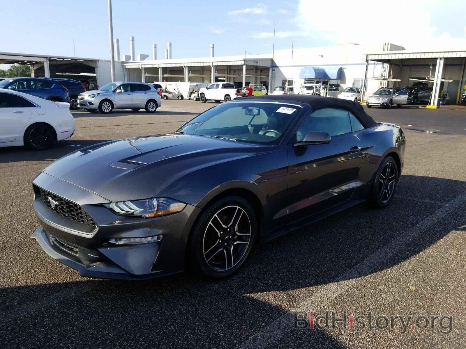 Photo 1FATP8UH7K5151257 - Ford Mustang 2019