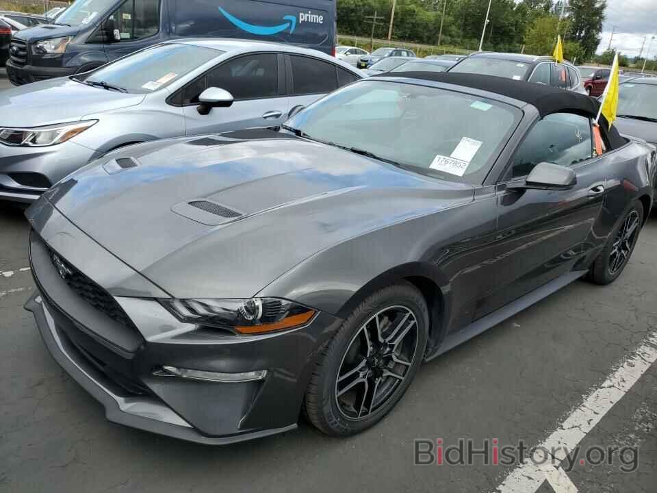 Photo 1FATP8UHXK5135750 - Ford Mustang 2019