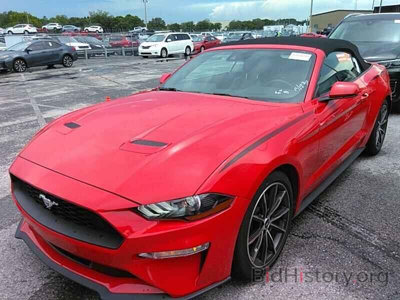Photo 1FATP8UH8K5149873 - Ford Mustang 2019