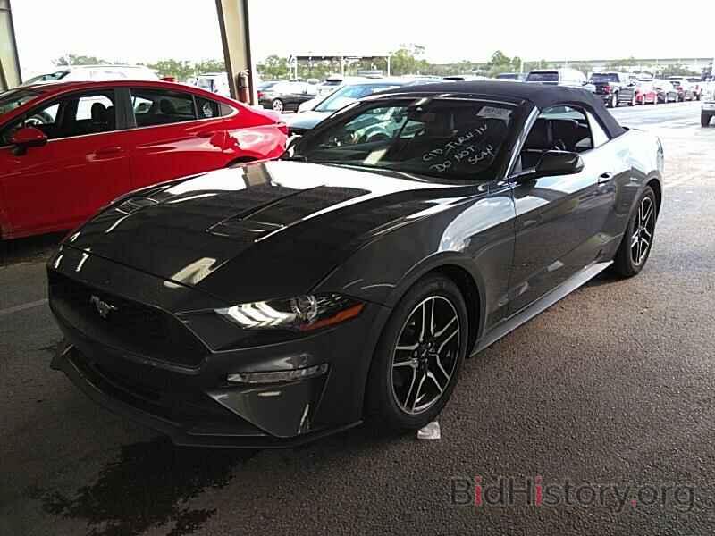 Photo 1FATP8UH1K5204597 - Ford Mustang 2019