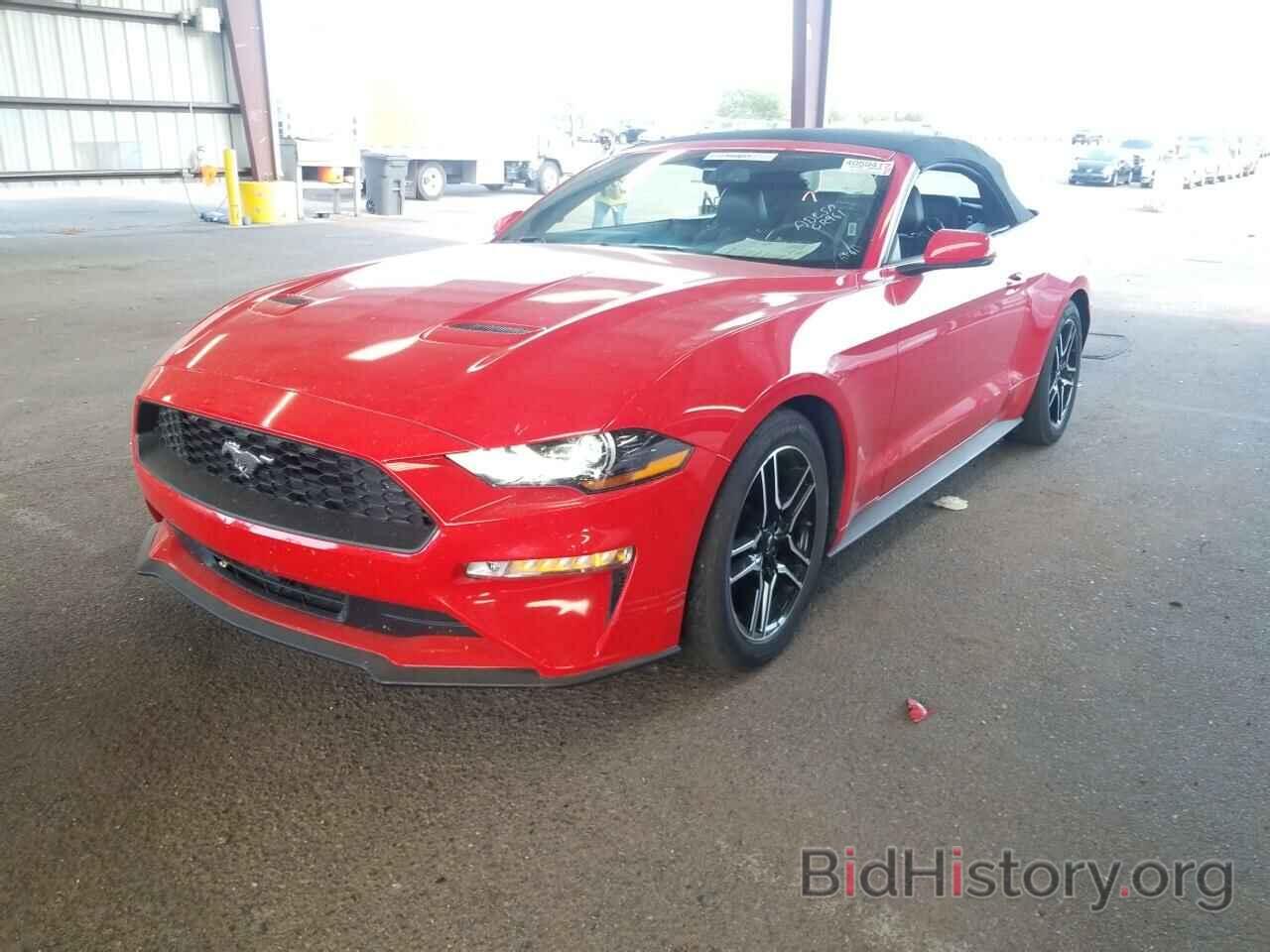 Photo 1FATP8UH9K5138588 - Ford Mustang 2019