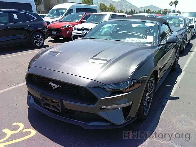 Photo 1FATP8UH1K5178518 - Ford Mustang 2019