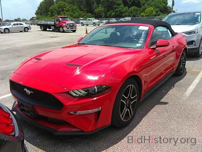 Photo 1FATP8UHXK5170899 - Ford Mustang 2019