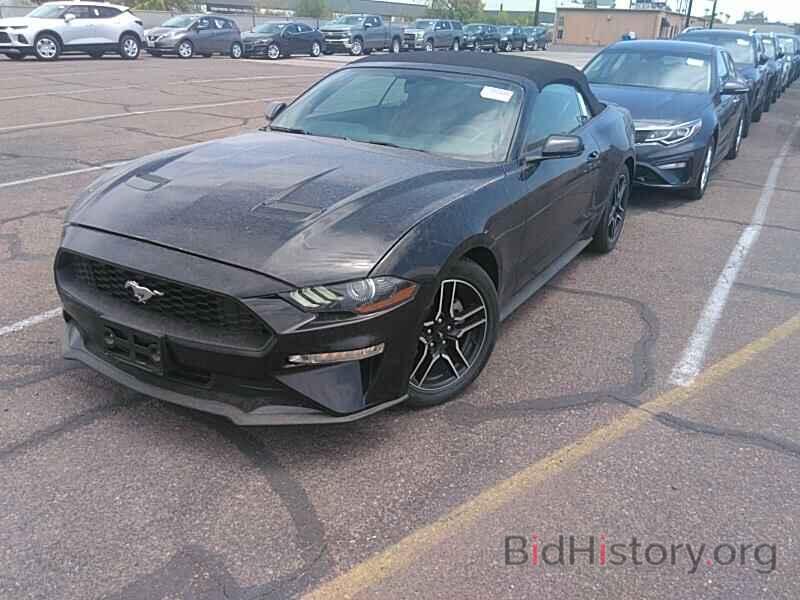 Photo 1FATP8UH7K5179592 - Ford Mustang 2019
