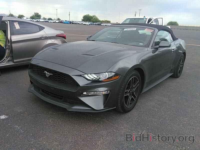 Photo 1FATP8UH1K5158530 - Ford Mustang 2019