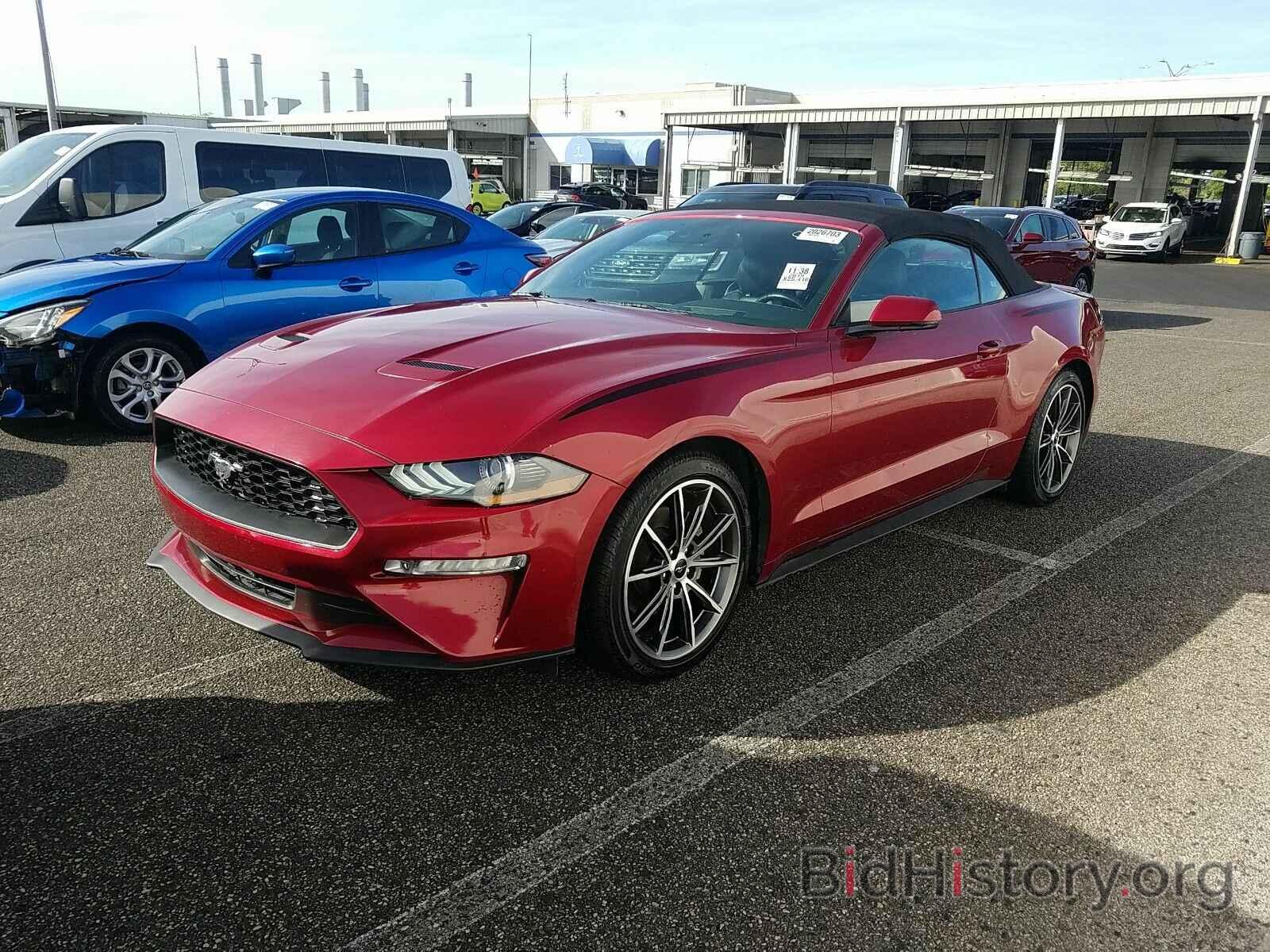 Фотография 1FATP8UH4K5159557 - Ford Mustang 2019