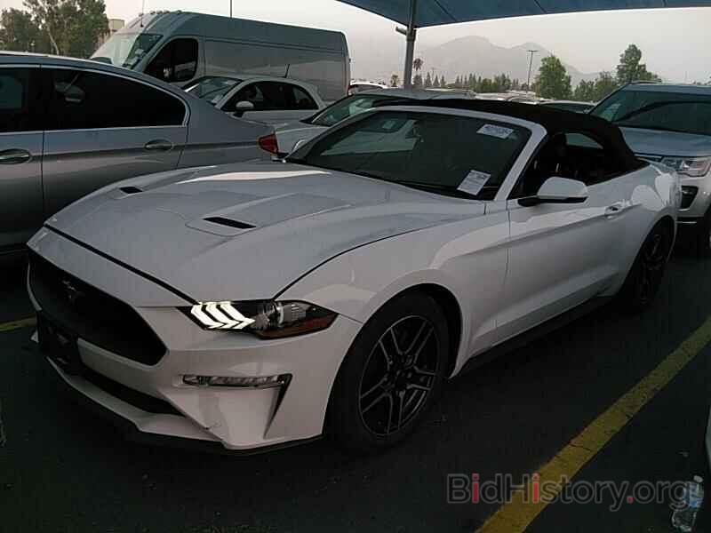 Photo 1FATP8UHXK5171020 - Ford Mustang 2019