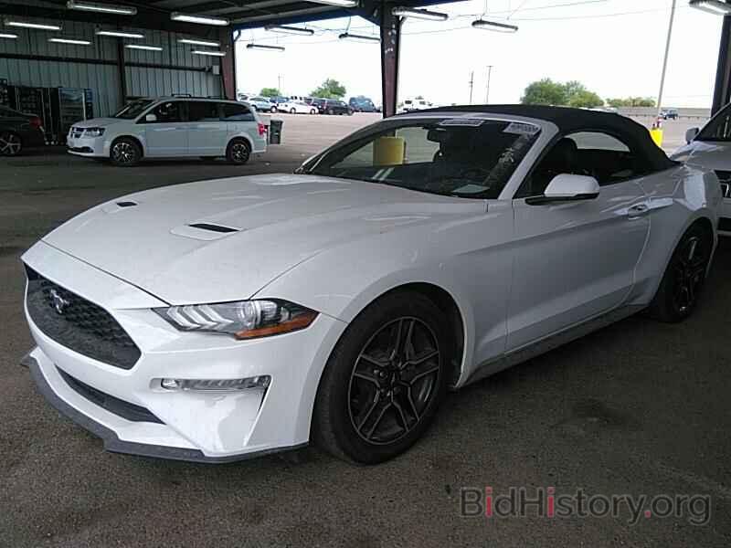 Photo 1FATP8UHXK5149499 - Ford Mustang 2019