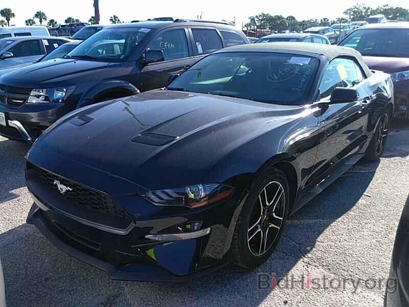 Photo 1FATP8UH7K5181780 - Ford Mustang 2019