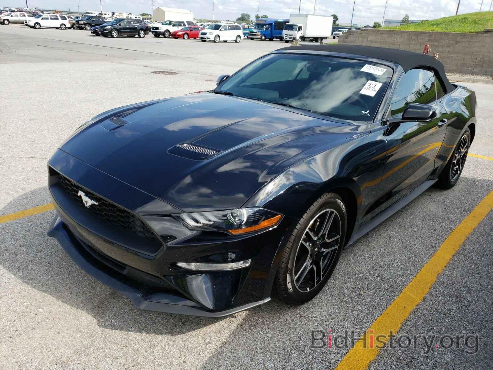 Photo 1FATP8UH5K5149491 - Ford Mustang 2019