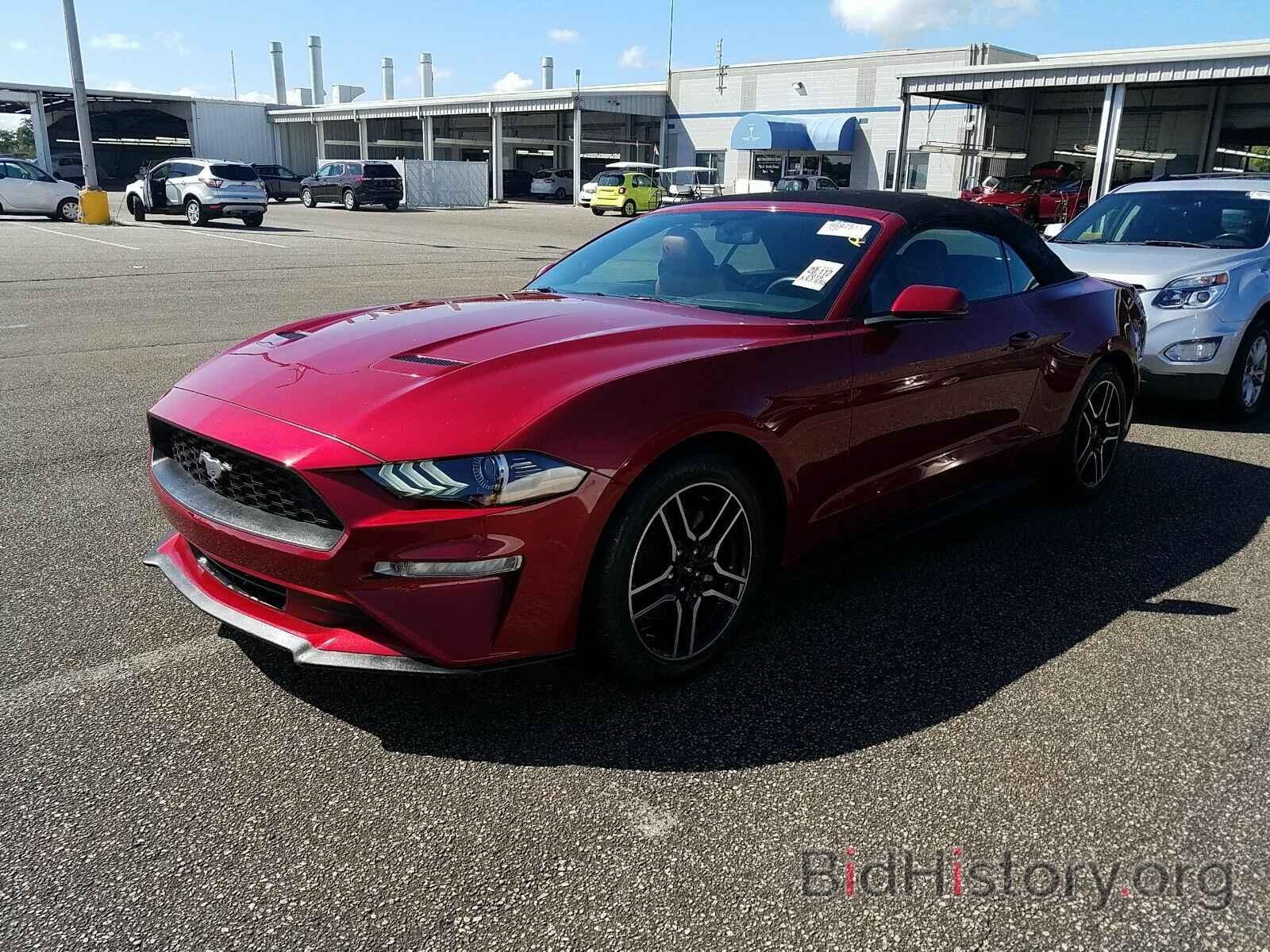 Photo 1FATP8UH6K5204594 - Ford Mustang 2019