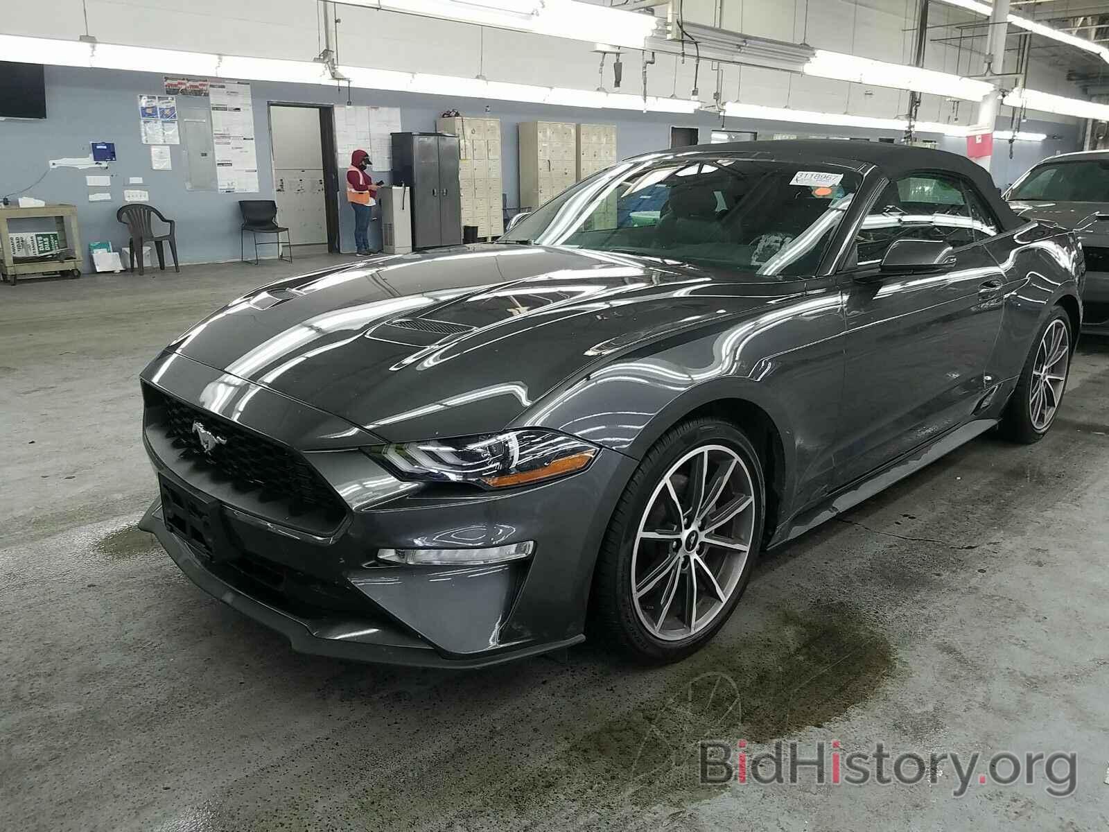 Photo 1FATP8UH1K5182360 - Ford Mustang 2019