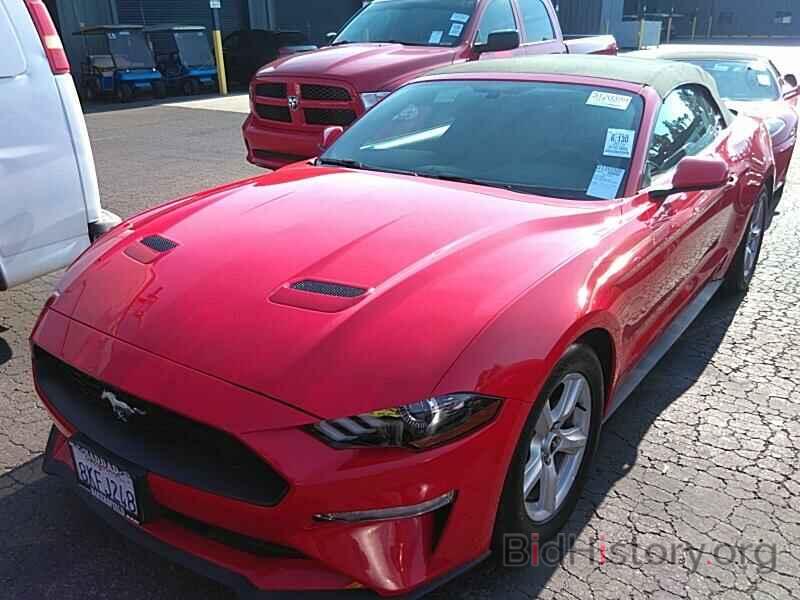 Photo 1FATP8UH3K5159064 - Ford Mustang 2019