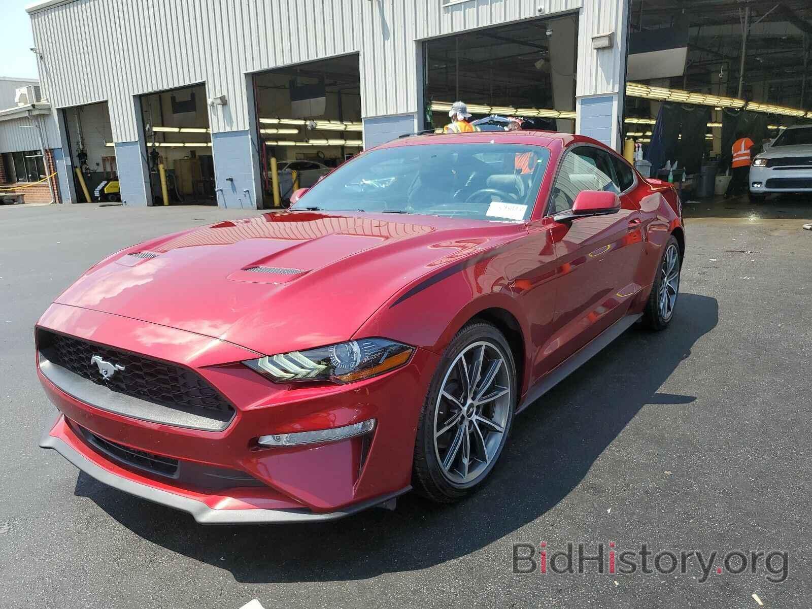 Photo 1FA6P8TH1K5186584 - Ford Mustang 2019