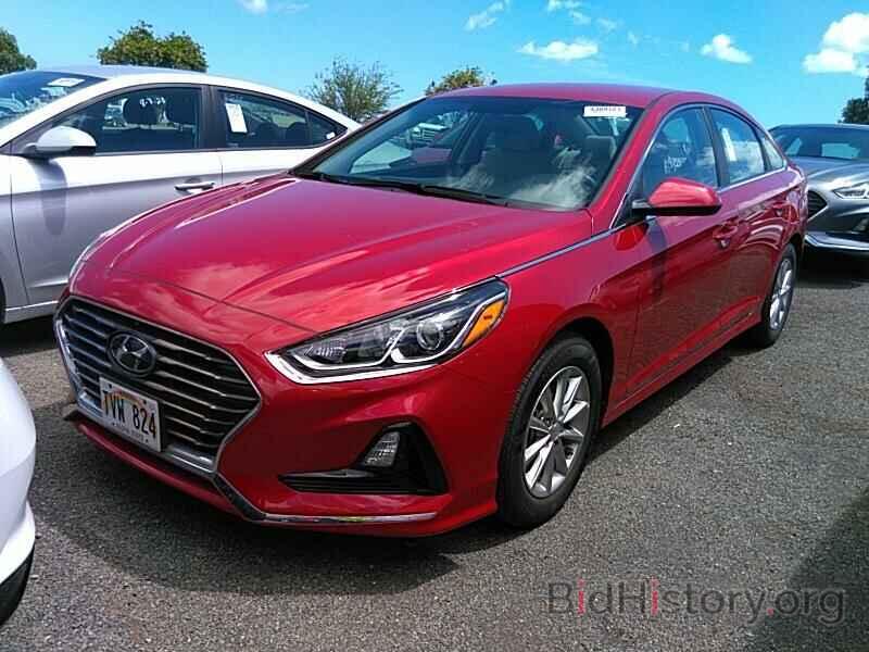 Photo 5NPE24AF4KH791827 - Hyundai Sonata 2019