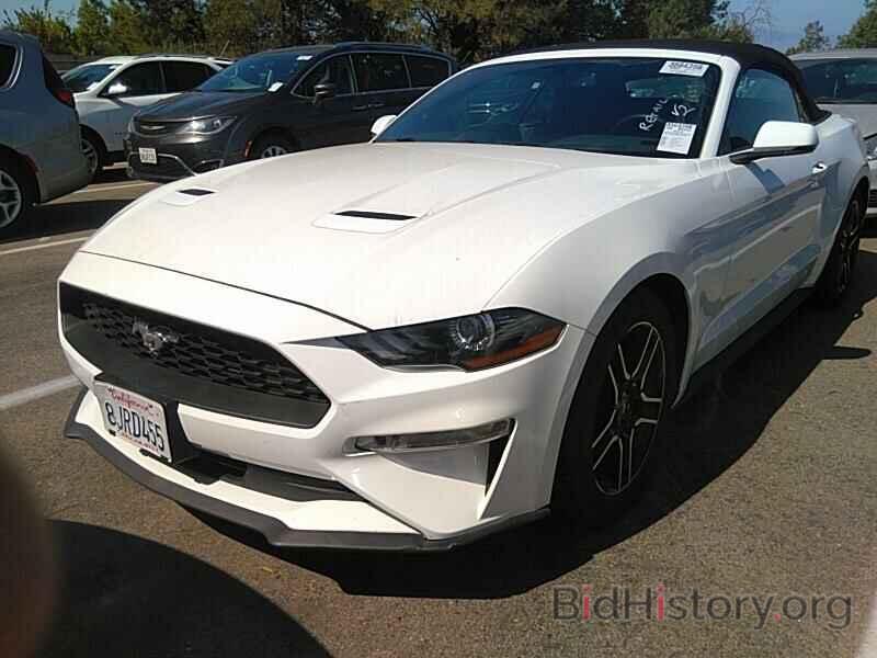 Photo 1FATP8UHXK5171924 - Ford Mustang 2019