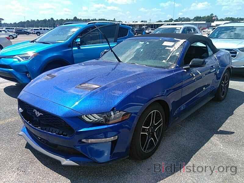 Photo 1FATP8UH0K5161564 - Ford Mustang 2019