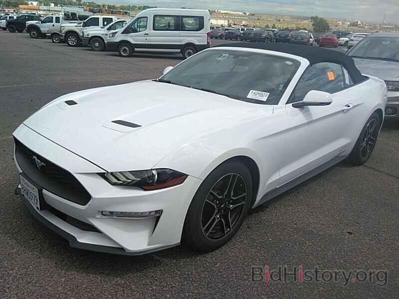 Photo 1FATP8UH3K5151174 - Ford Mustang 2019