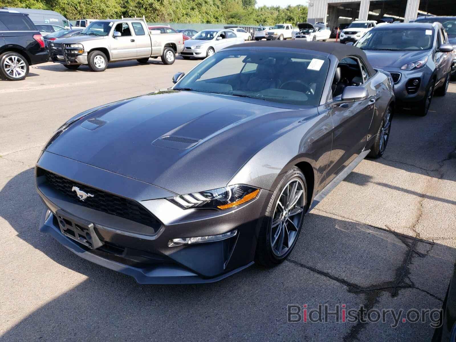 Photo 1FATP8UH0K5159815 - Ford Mustang 2019