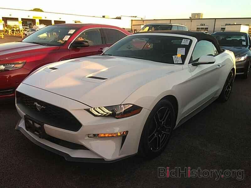 Photo 1FATP8UHXK5151866 - Ford Mustang 2019