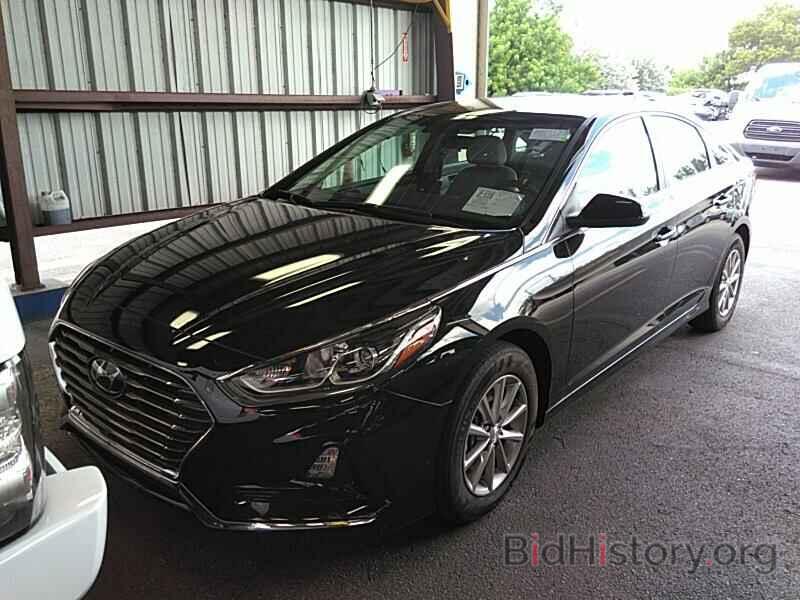 Photo 5NPE24AF4KH814216 - Hyundai Sonata 2019