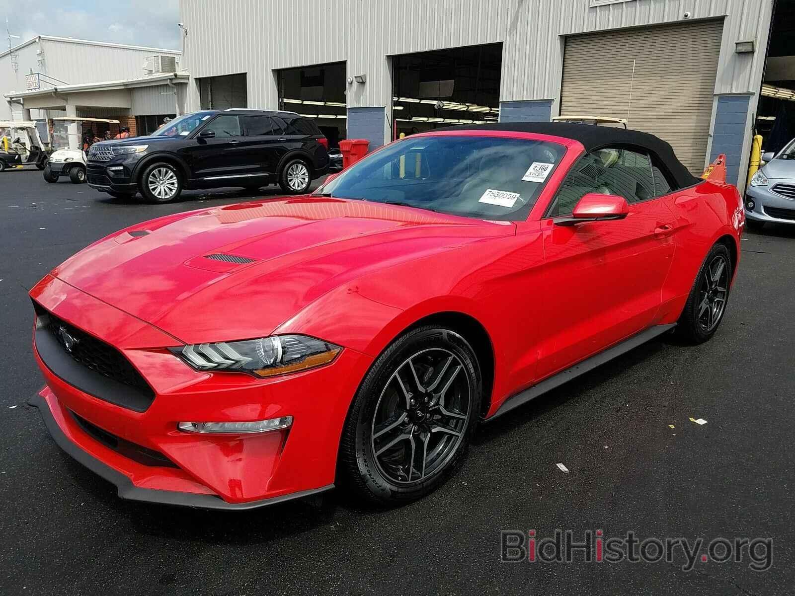 Photo 1FATP8UHXK5171177 - Ford Mustang 2019