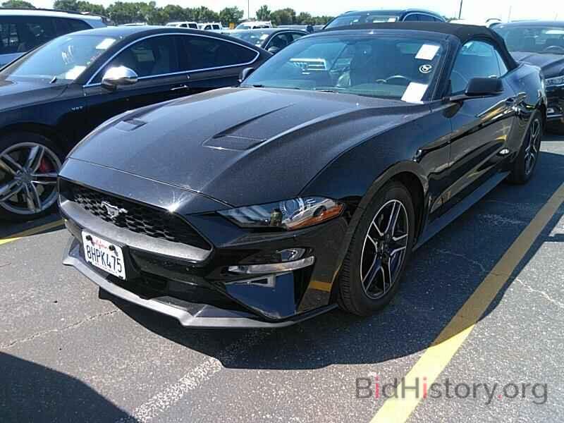 Photo 1FATP8UH3K5162420 - Ford Mustang 2019