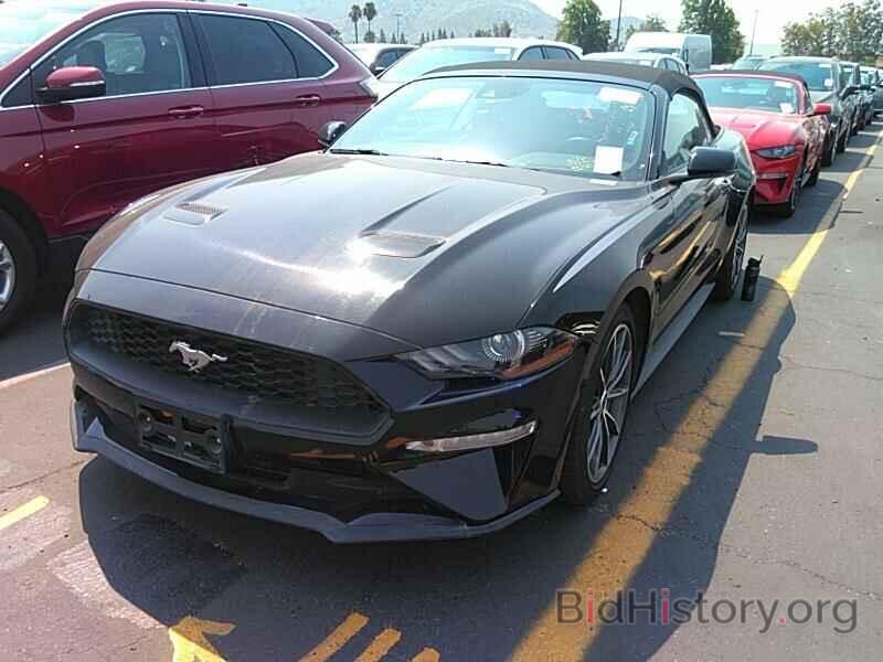 Photo 1FATP8UH8K5172425 - Ford Mustang 2019