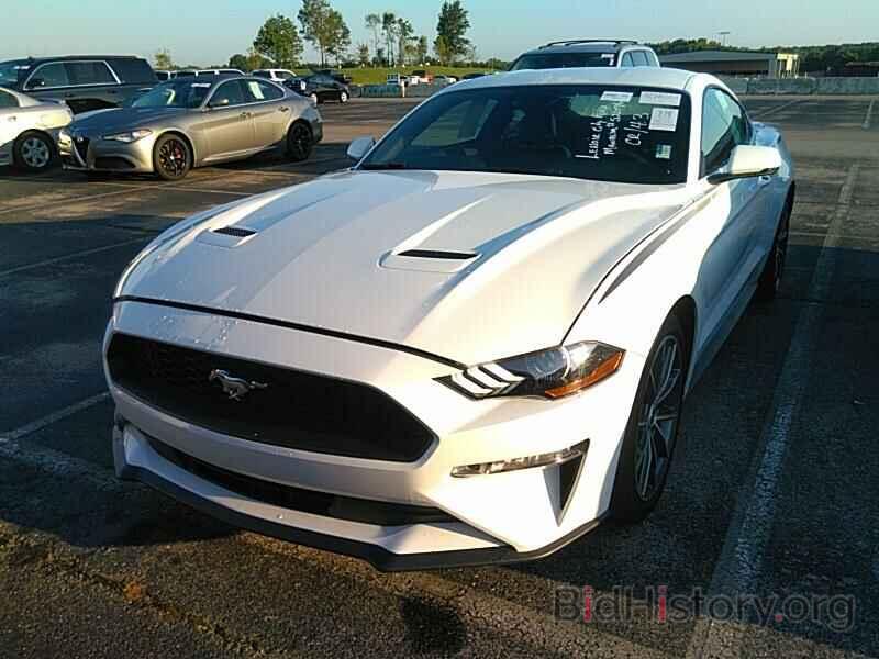 Photo 1FA6P8TH0K5151499 - Ford Mustang 2019