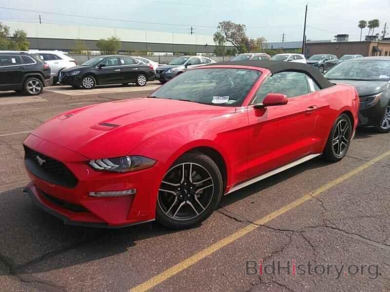 Photo 1FATP8UH4K5138482 - Ford Mustang 2019