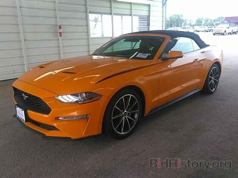 Photo 1FATP8UHXK5172278 - Ford Mustang 2019