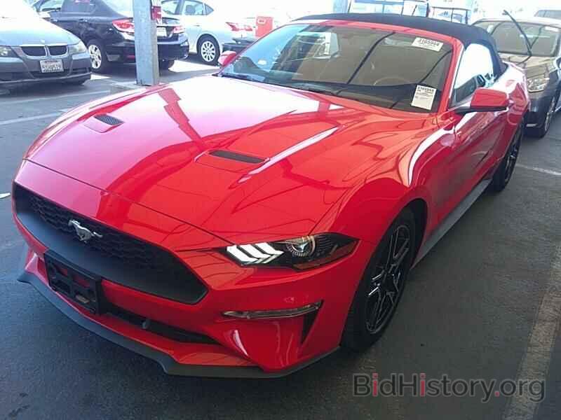 Photo 1FATP8UH6K5126057 - Ford Mustang 2019
