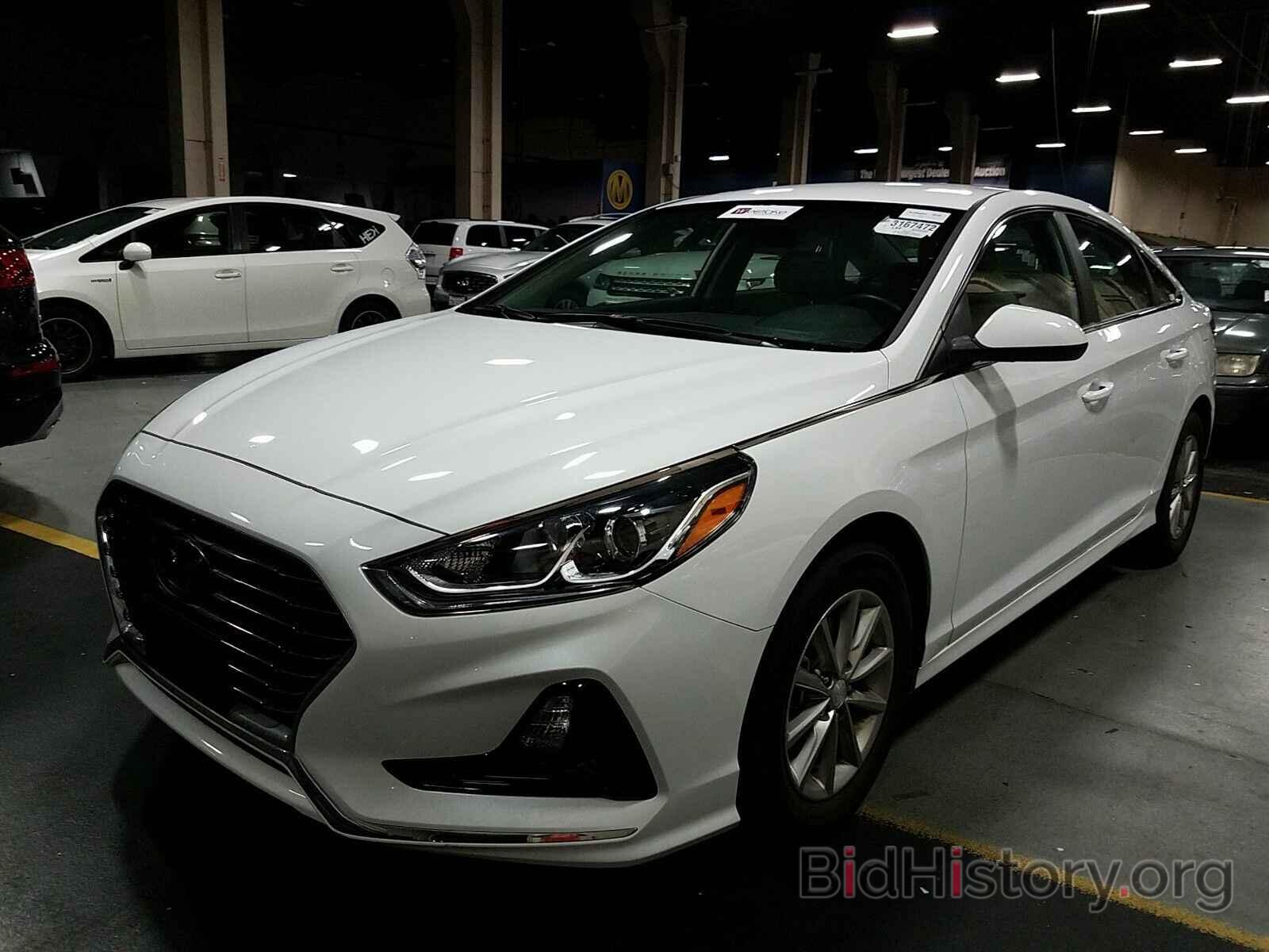 Photo 5NPE24AF7KH767683 - Hyundai Sonata 2019