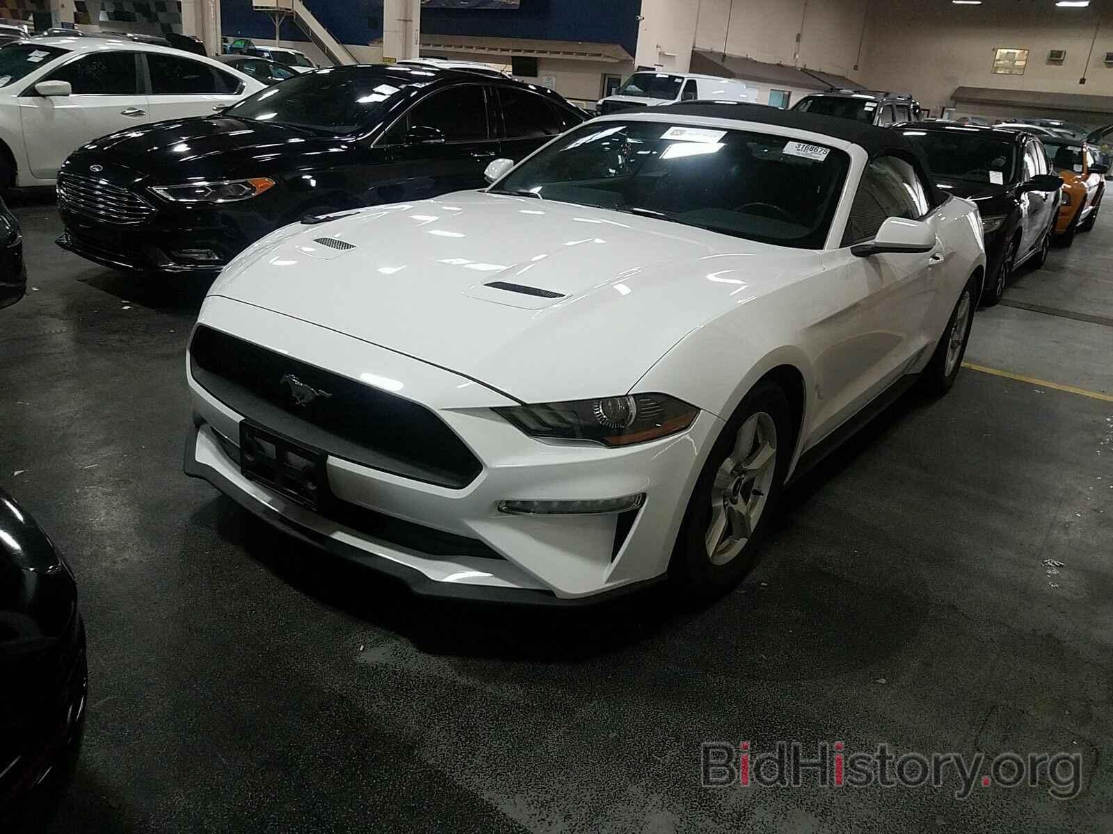 Photo 1FATP8UH5K5158823 - Ford Mustang 2019