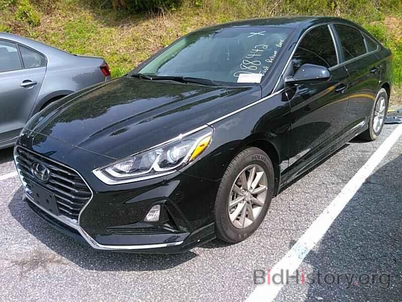 Photo 5NPE24AF2KH788442 - Hyundai Sonata 2019