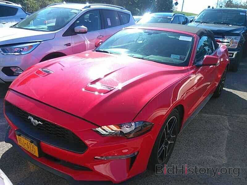 Photo 1FATP8UH6K5171127 - Ford Mustang 2019
