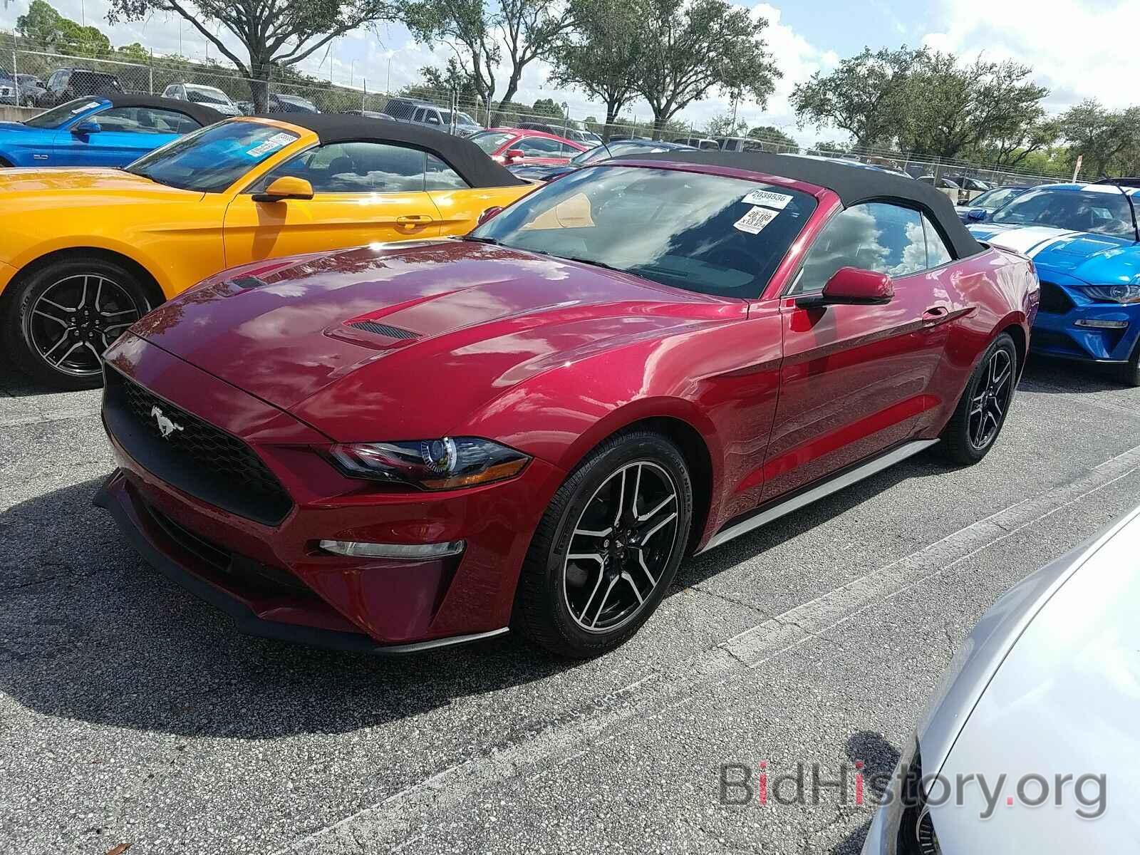 Photo 1FATP8UH9K5205271 - Ford Mustang 2019