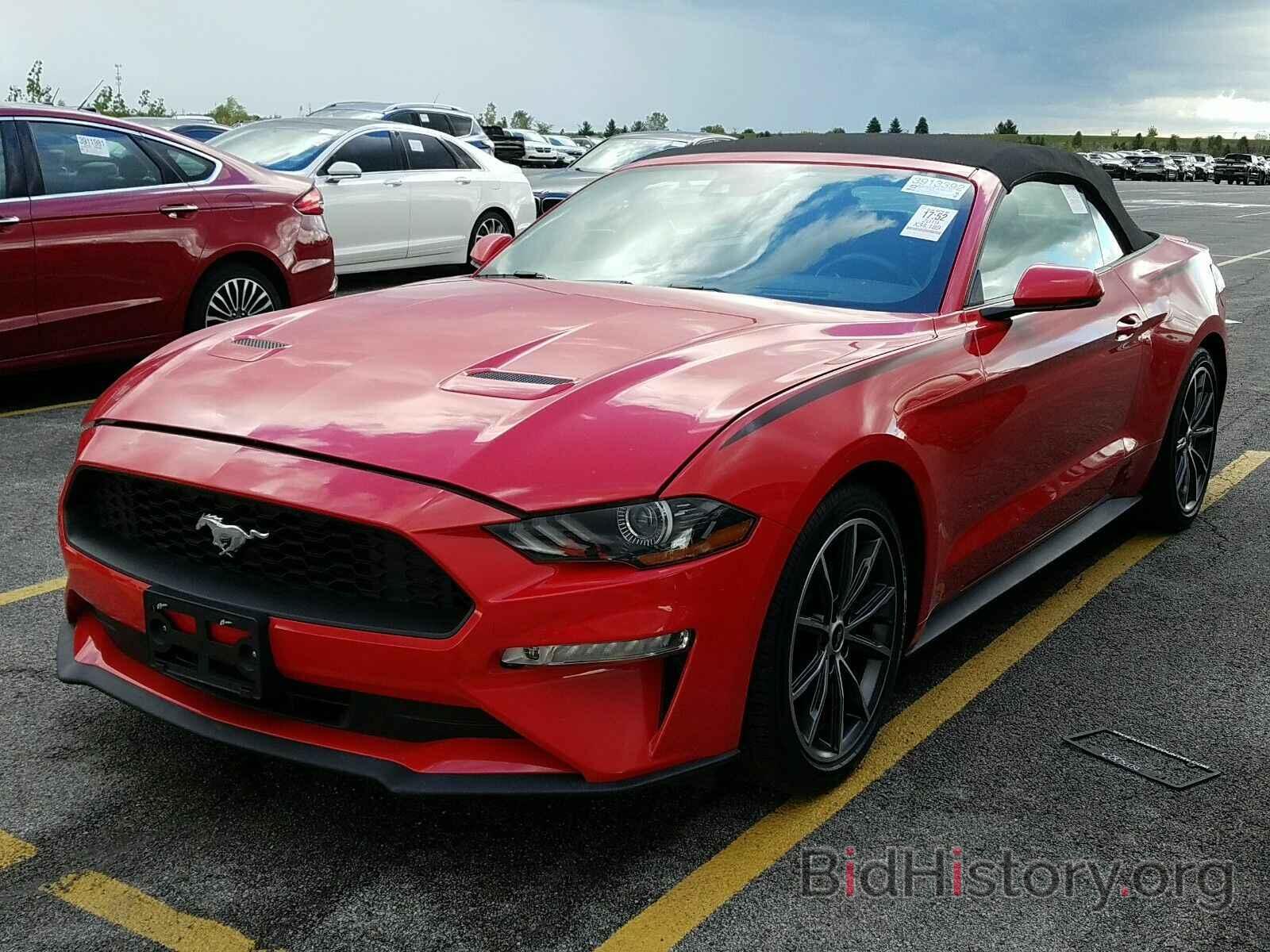 Photo 1FATP8UH8K5176877 - Ford Mustang 2019