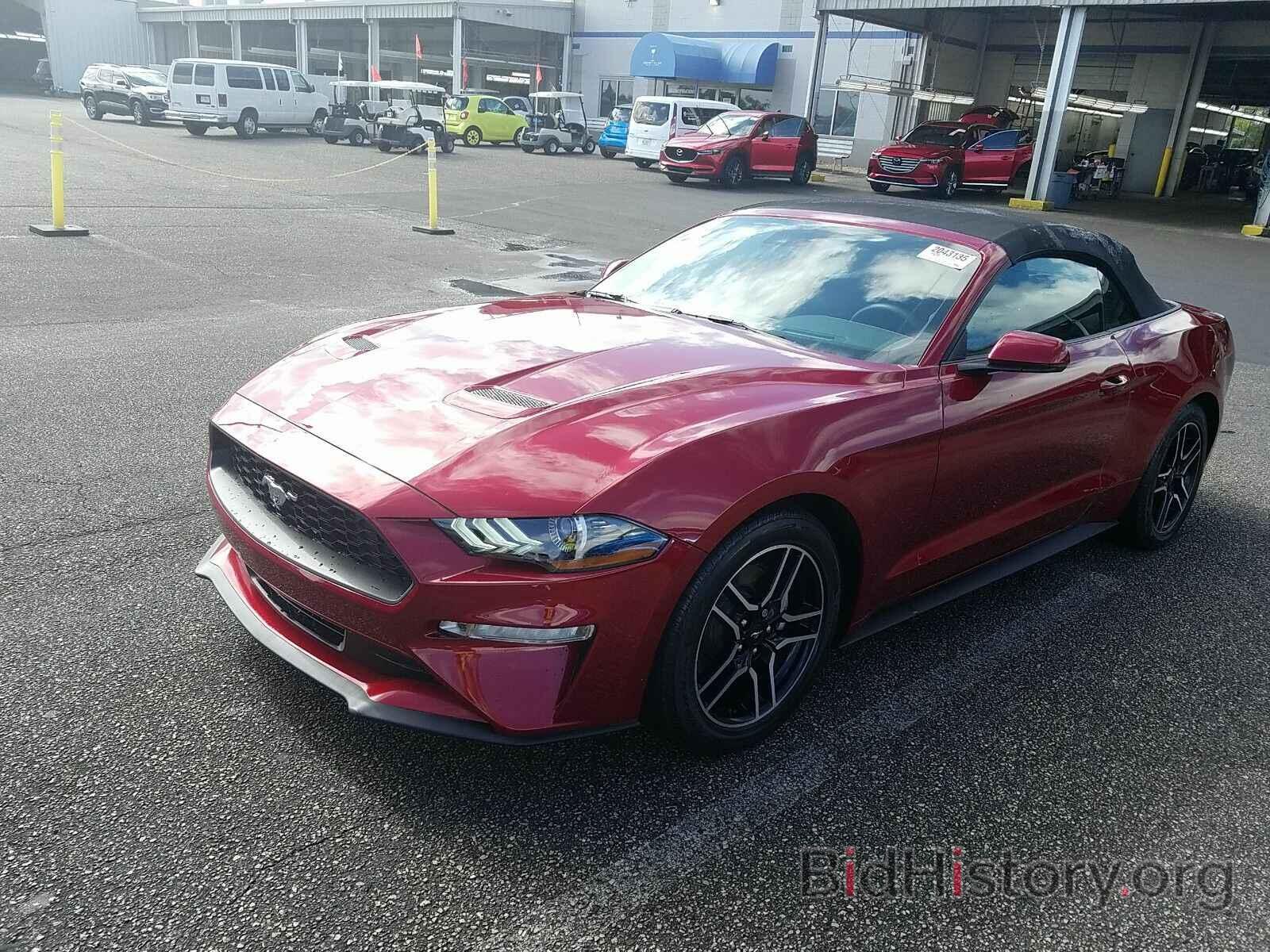 Photo 1FATP8UHXK5205280 - Ford Mustang 2019